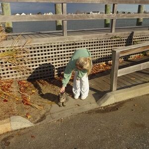 Meet your Posher, Gracie